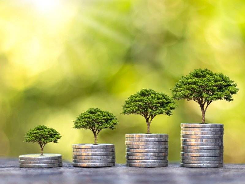 filosofia da liberdade financeira