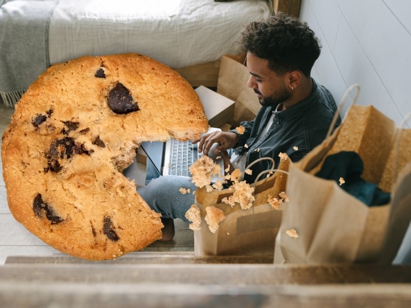 Como Limpar os Cookies e o Cache do Seu Navegador